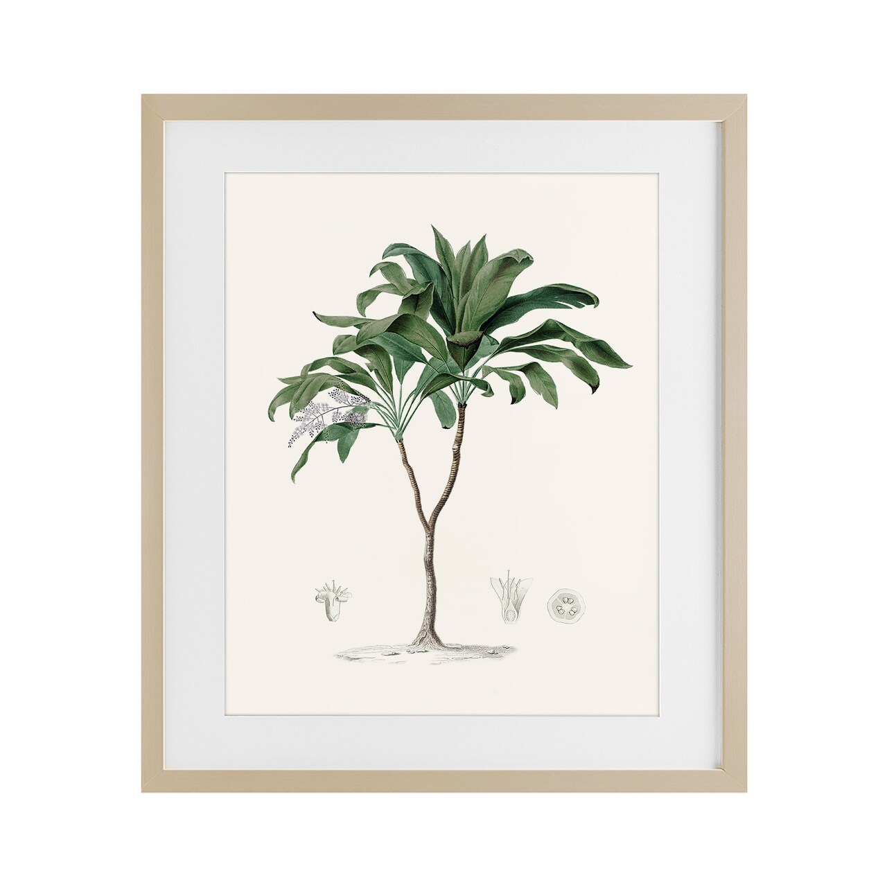 Stupell Industries Coastal Palms Vintage Framed Print Under Glass, design by Val Rhodes